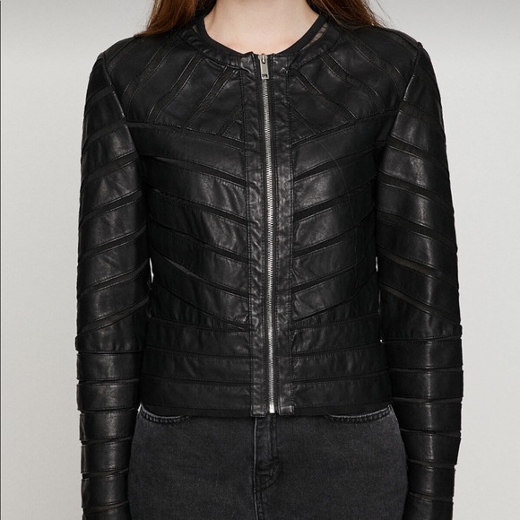 New Leather jacket size 38(M) - Picture 4 of 14